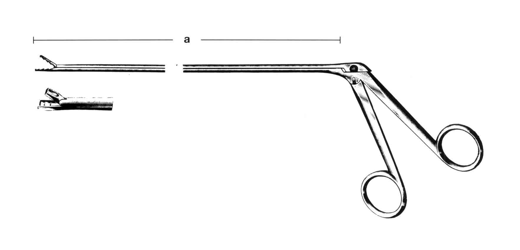 JACKSON BRONŞ-YEMEK BORUSU FORSEPS 30CM